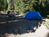 WYOMING A YELLOWSTONE 12 le campement